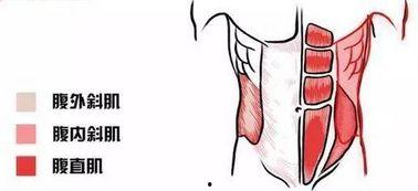 川字肌图片,探寻肌肉线条的艺术之美