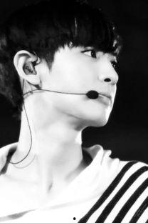 朴灿烈搞笑头发