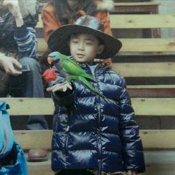 怎样才能成为童星演员